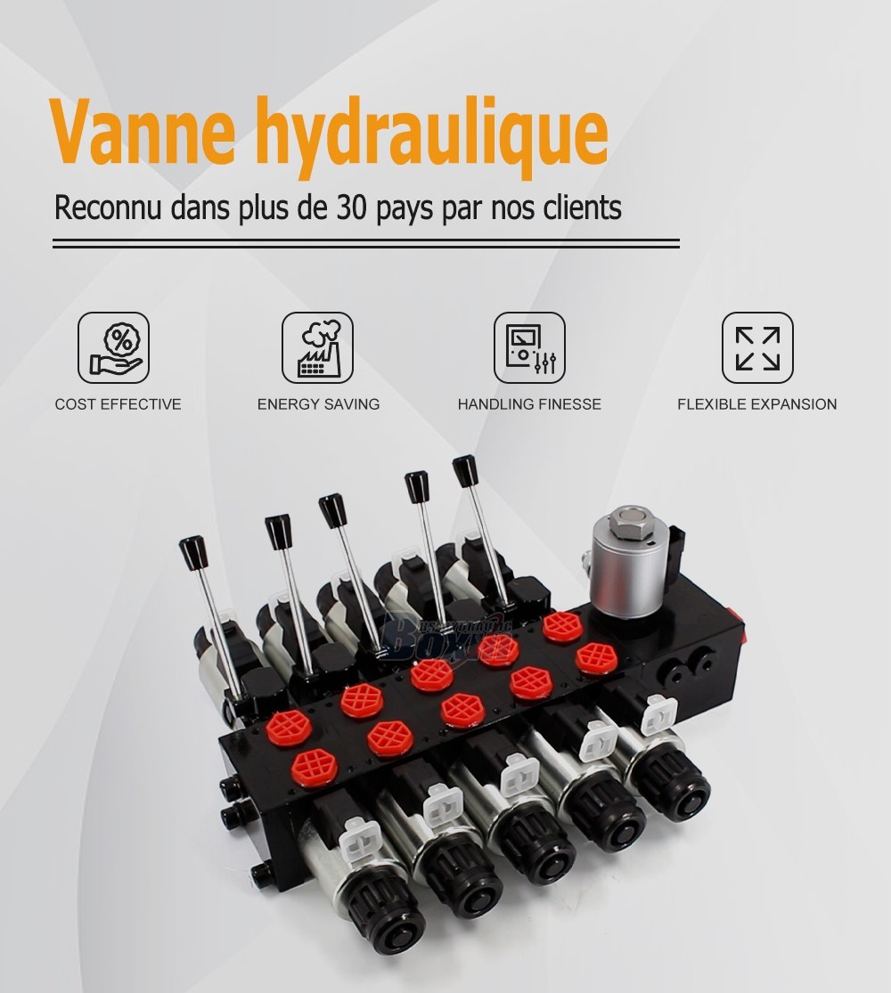 DCV56 Solénoïde 5 tiroirs Distributeur directionnel sectionnel